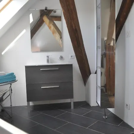 Demeure De Boisclaireau *