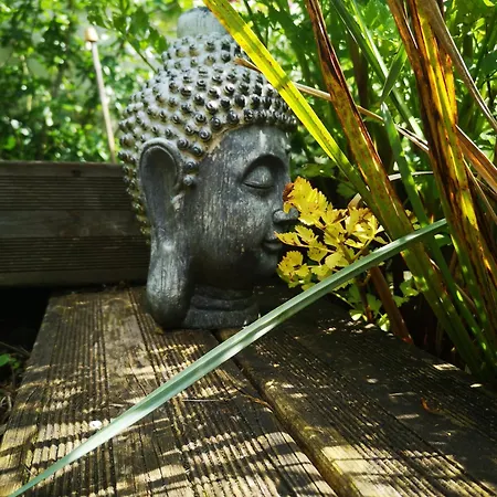 Demeure De Boisclaireau Bed & Breakfast