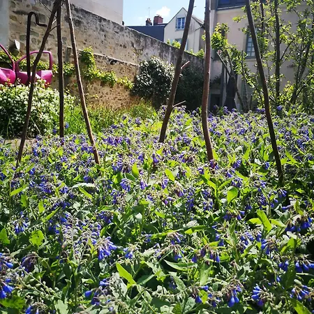 فندق مبيت وإفطار Demeure De Boisclaireau