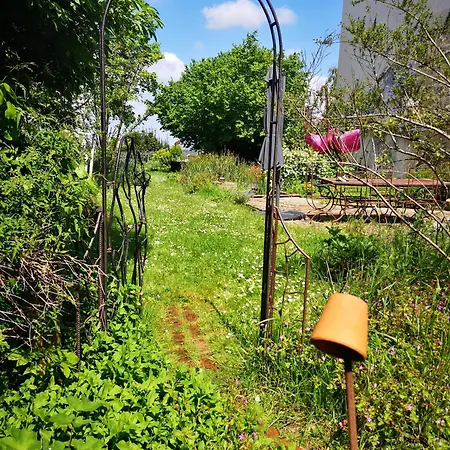 Bed & Breakfast Demeure De Boisclaireau Le Mans