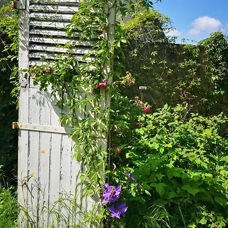 Demeure De Boisclaireau فندق مبيت وإفطار لو مان