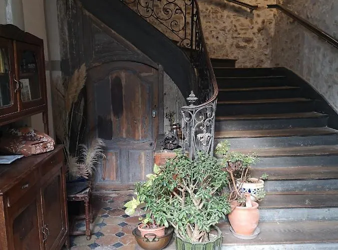 Bed and breakfast Demeure De Boisclaireau *