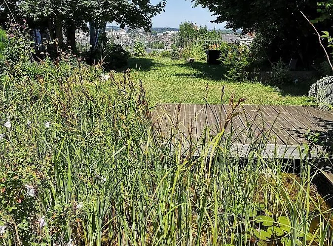 Demeure De Boisclaireau * Le Mans