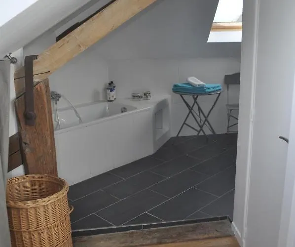 Demeure De Boisclaireau Bed & Breakfast Le Mans