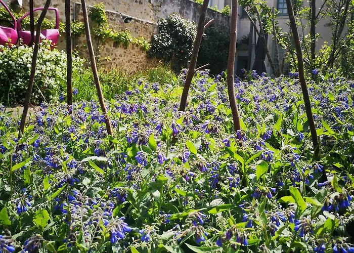 Bed and breakfast Demeure De Boisclaireau